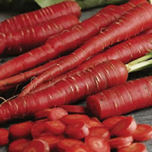 Atomic Red Carrot Seed