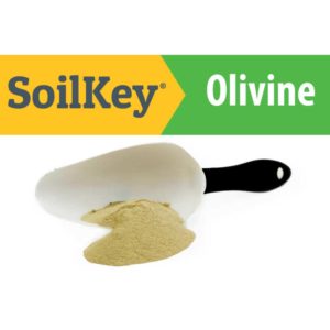 SoilKey Olivine