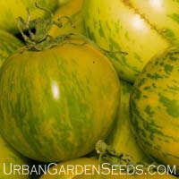 Green Zebra Tomato Seeds