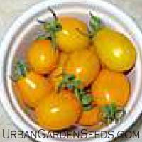 Yellow Plum Tomato Seeds